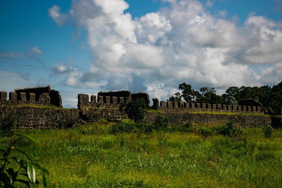 Фотографии: Работы